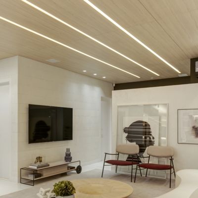 OEM الألومنيوم الشخصي LED للإضاءة التجارية صعودا وهبوطا مع موزع الكمبيوتر